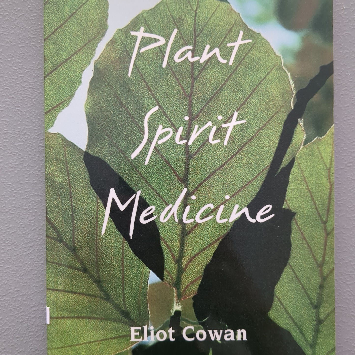 Plant Spirit medicine by Eliot Cowen