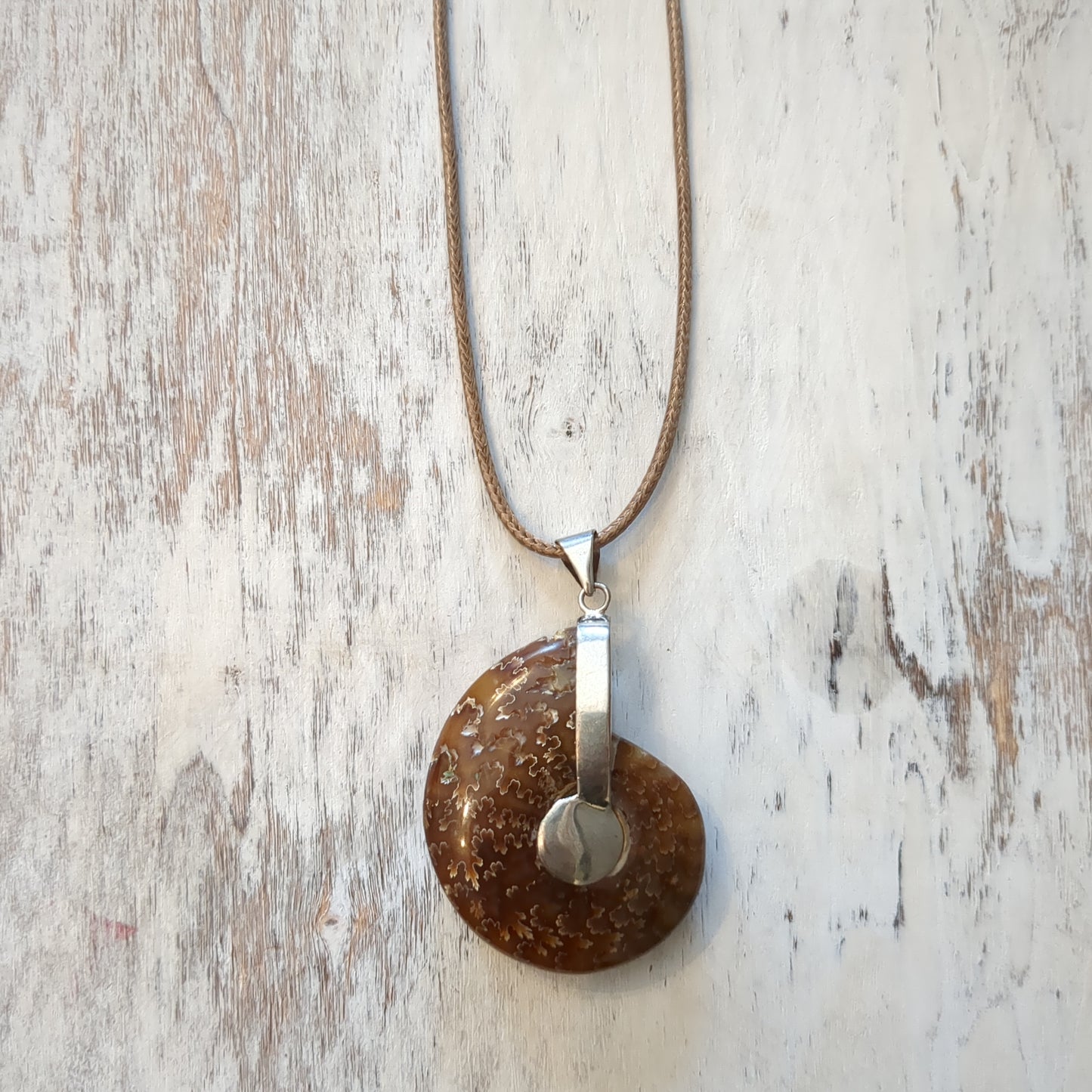 Ammonite Necklace Ken Rose Natural Stone Jewelry