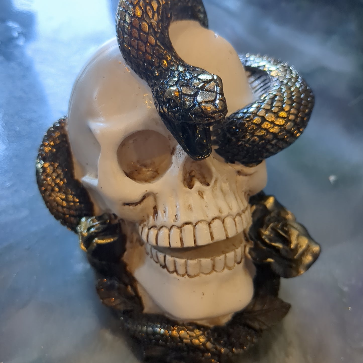 Skull with gold snake witchy decor