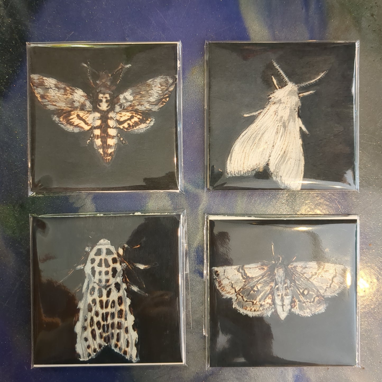 Moth Print 4x4 by Caylin Paige