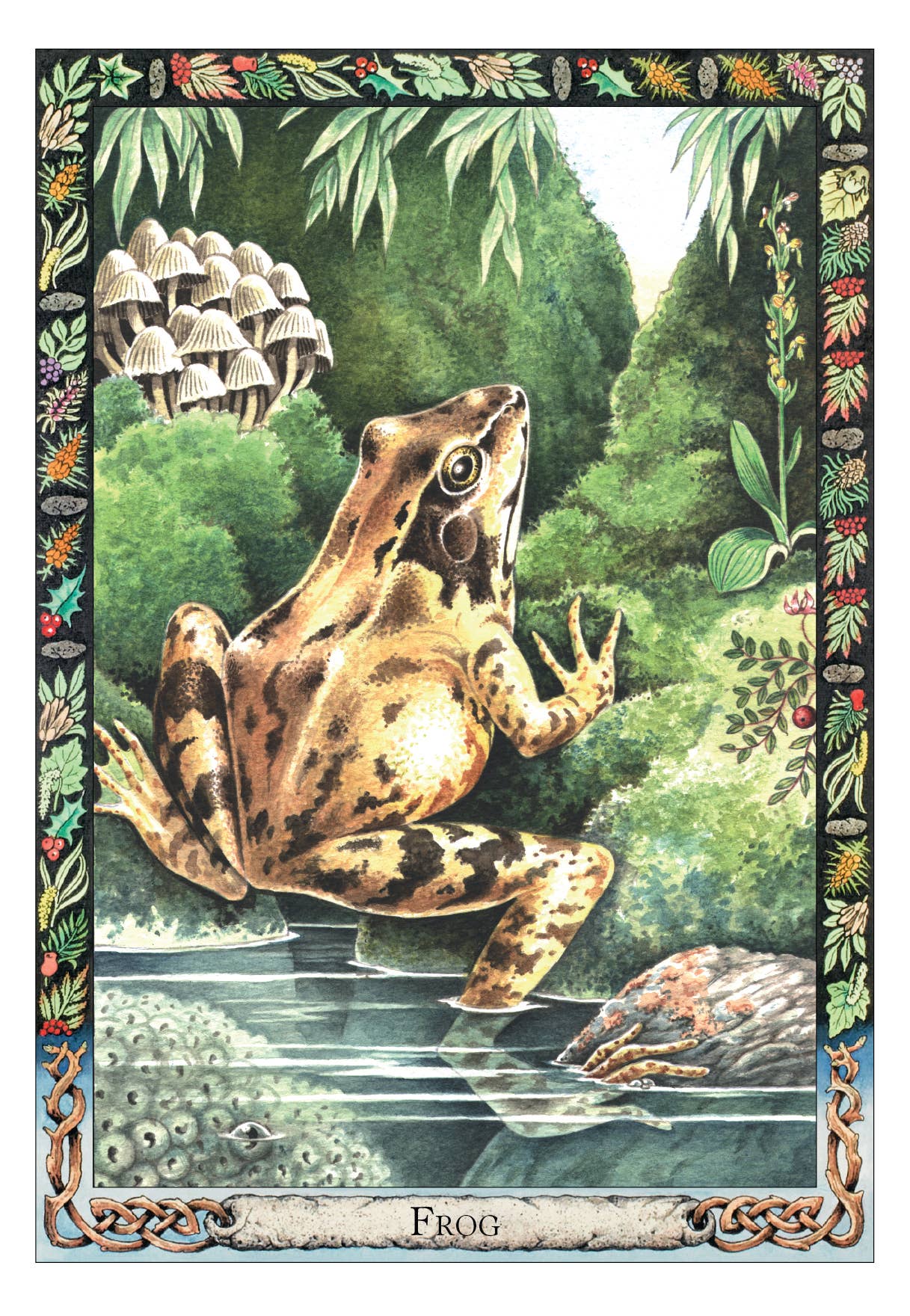 The Druid Animal Oracle Deck (36 Cards and 48 Page Booklet)