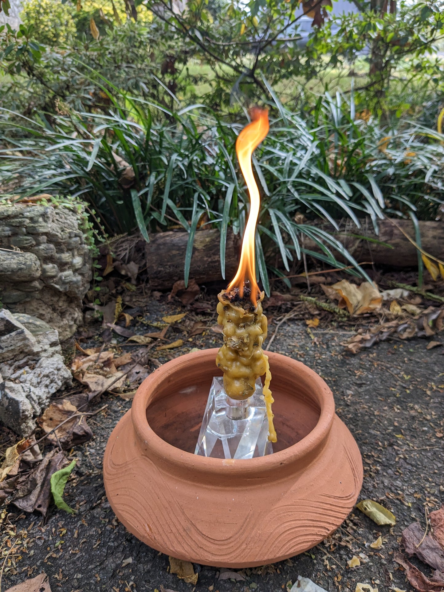 Sunshine Torch Mullein Torch Witch Candle