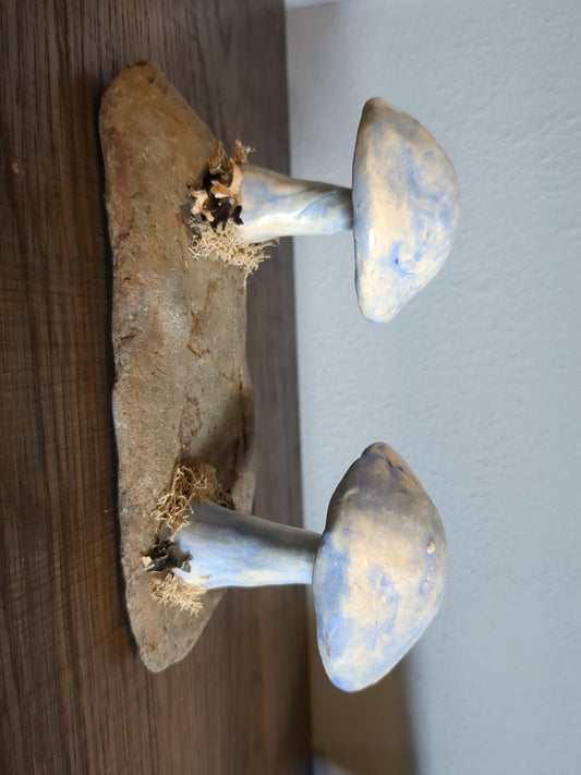Two blue mushrooms on Stone