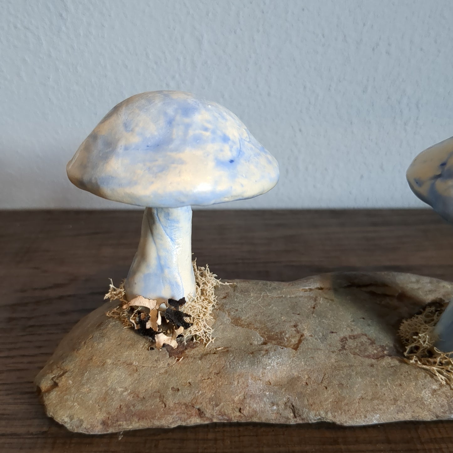 Two blue mushrooms on Stone