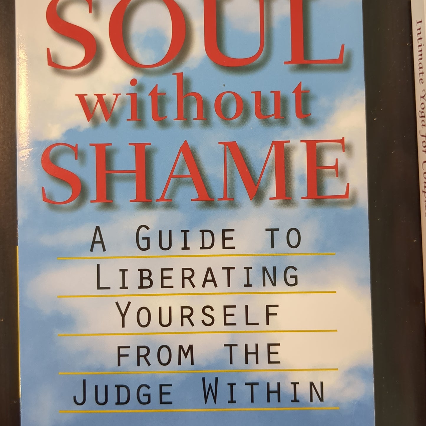 Soul without shame a guy to liberating yourself from the judge within